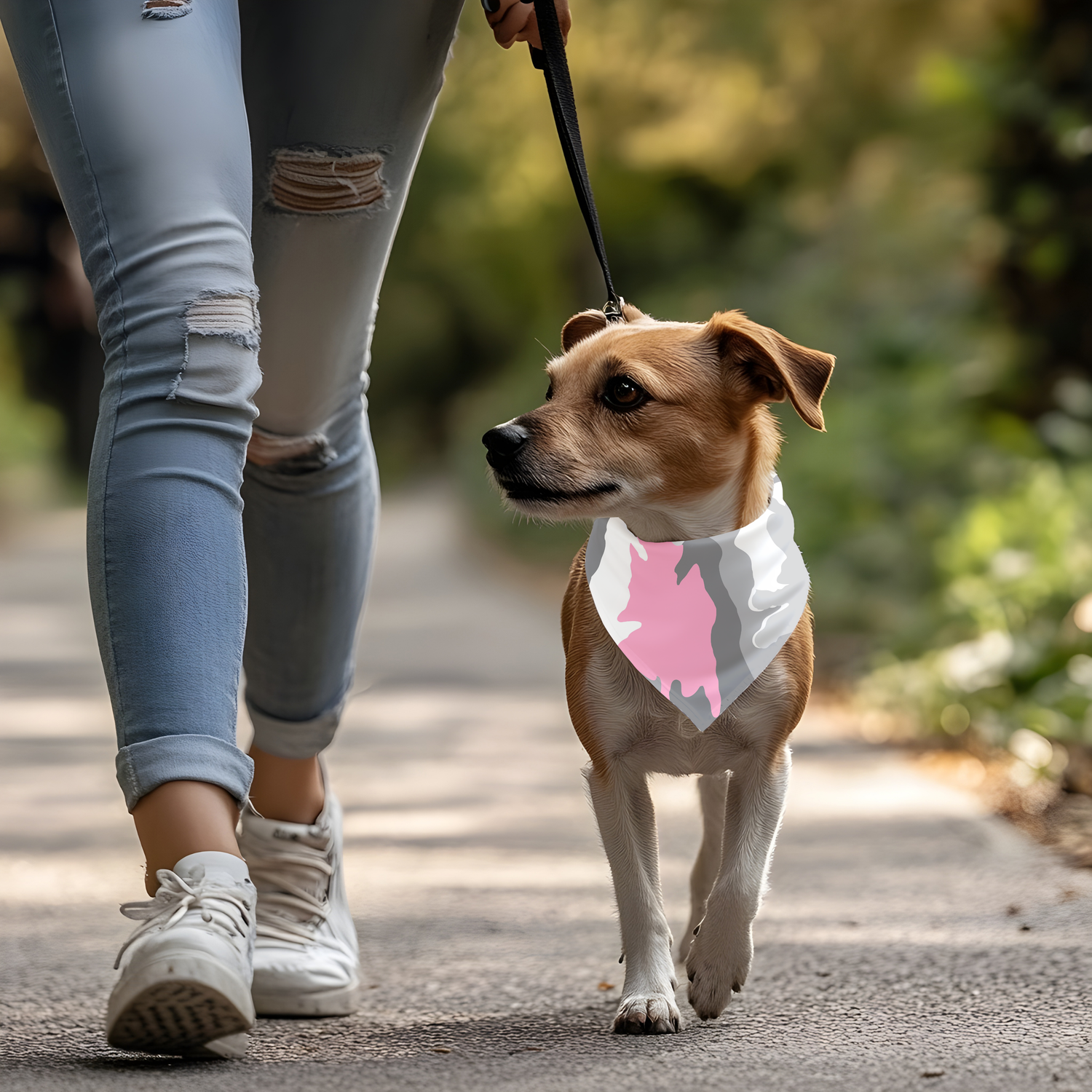 Abstract Rose Geometry