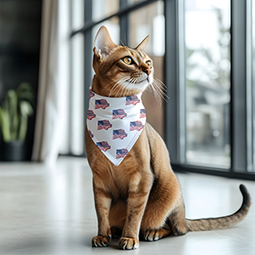 American Flag Bandana