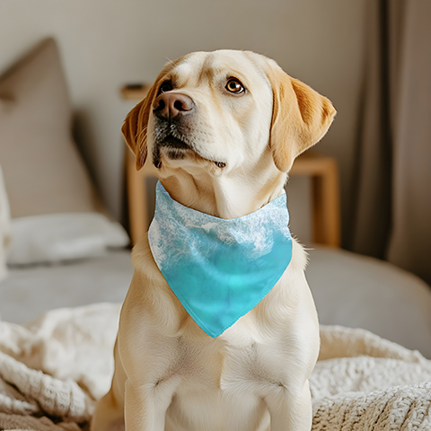 Beach Waters Bandana