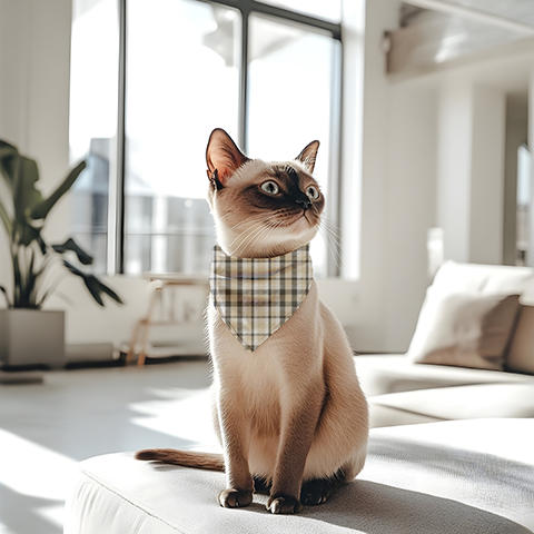 Plaid Tan Bandana