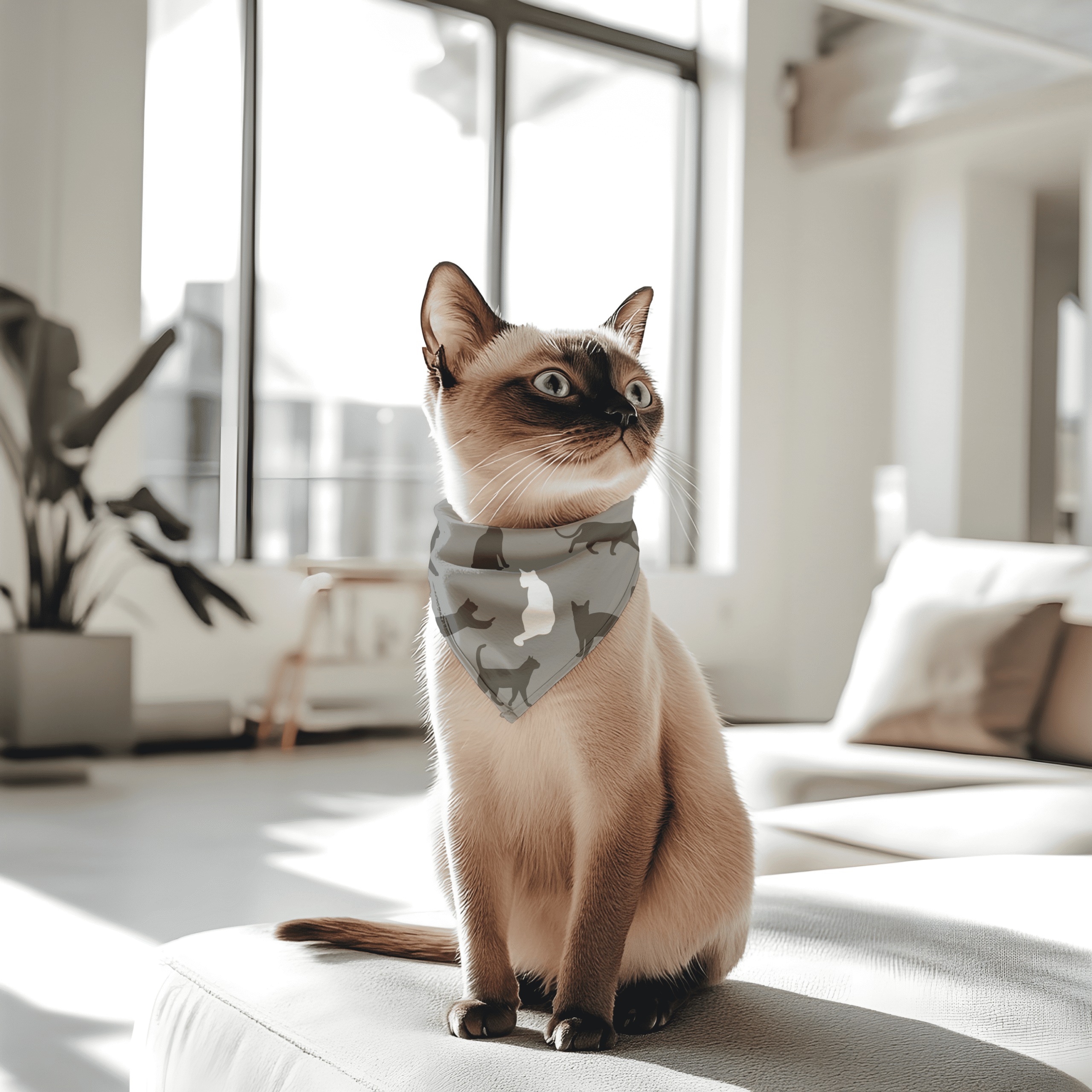 Black & White Cats Bandana