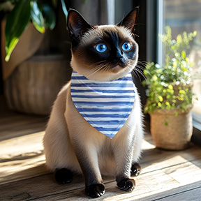 Blue Stripes Bandana