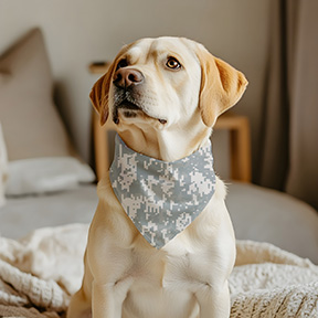 Digital Camo Bandana